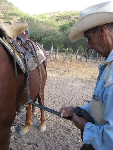 A Vaquero's work is never done. Cruz prepares to ride out.